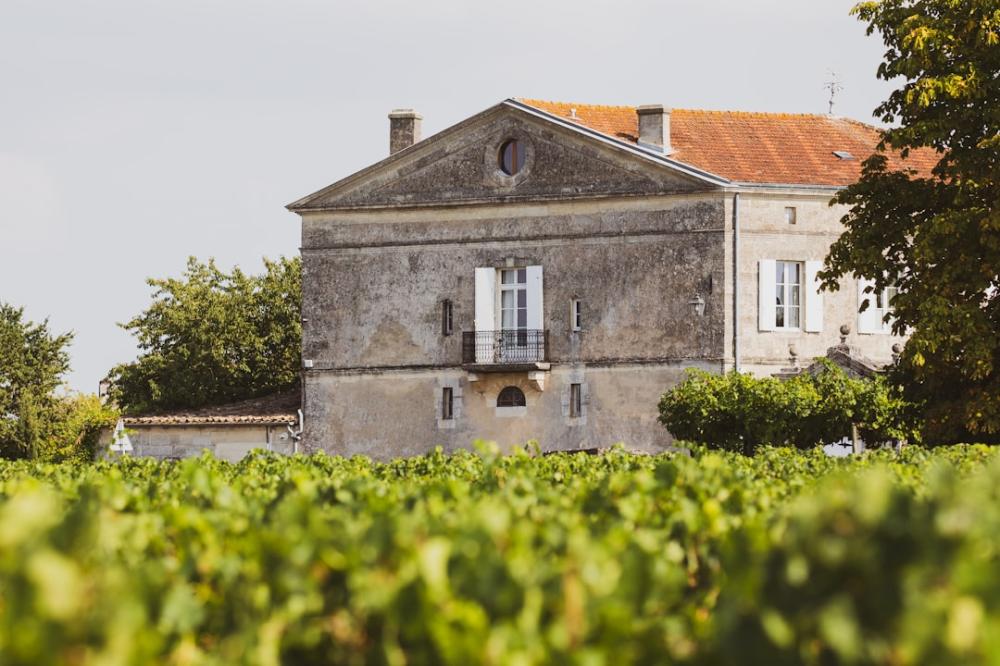 Kraftfulla druvor och mystiska viner – Upptäck hemligheten bakom Châteauneuf-du-Pape